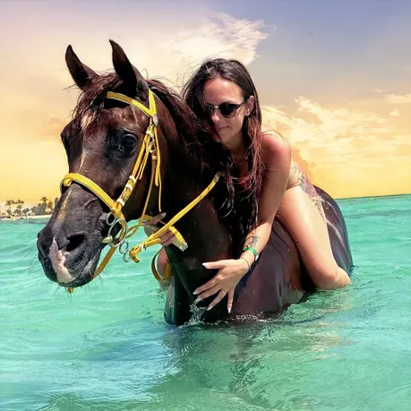 Pferde Reiten in Hurghada: Reiten am Strand oder in der Wüste